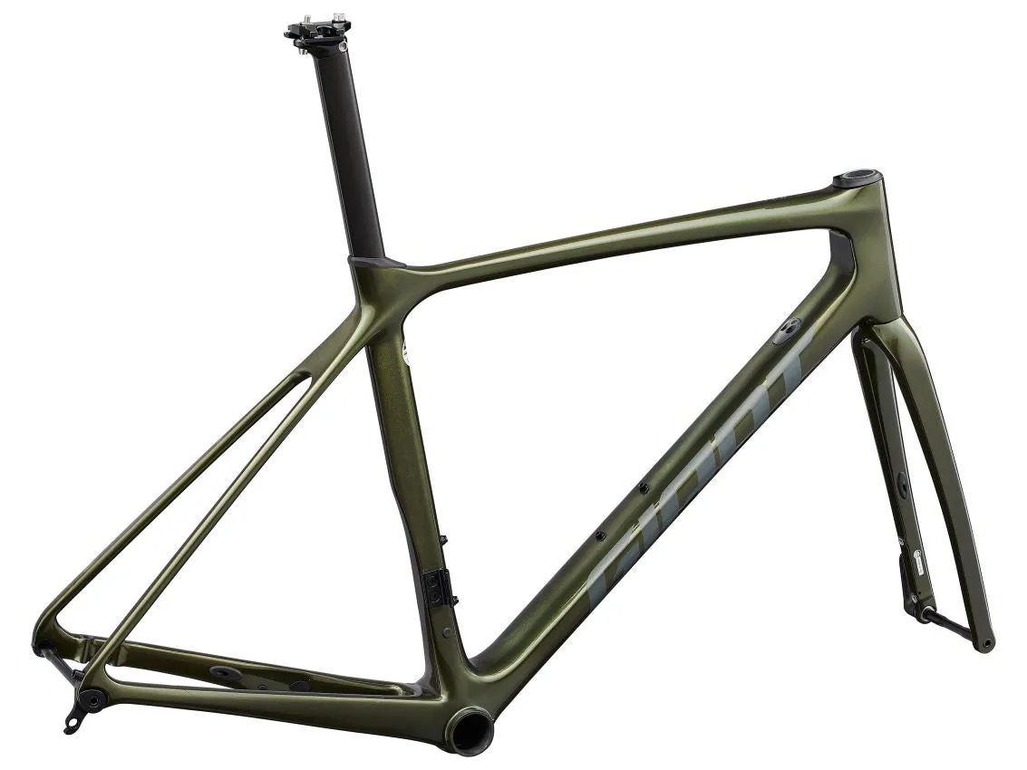 GIANT TCR ADVANCED PRO DISC FRAMESET (9TH GEN)