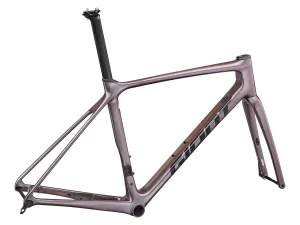 GIANT TCR ADVANCED PRO DISC FRAMESET (9TH GEN)