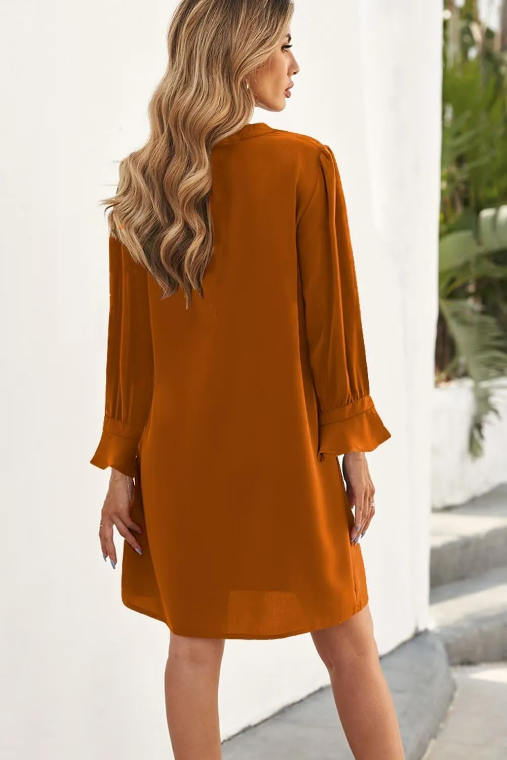 QACOHU Dresses for Women 2025 V Neck Spring Summer Ruffle Long Sleeve Simple Casual Loose Flowy Autumn Winter Shift Dress